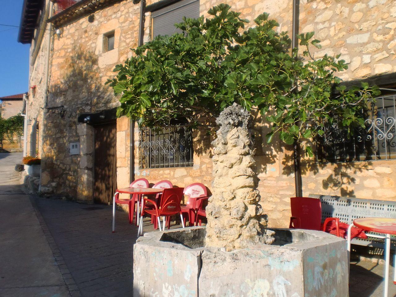 Bar Tejada